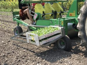 Feierwerk_Blog_Funkstation_Amperhof_Salat