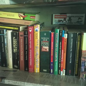 Feierwerk_Blog_Team_Südpolstation_Kursablauf_Andre_Bücherregal