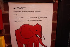 Feierwerk_Blog_Kinder_Dschungel_2018_Aufgabe