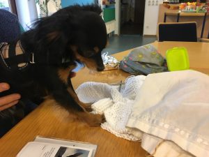 Feierwerk_Nachbarschaftsreff_Badgasteiner_Straße_Kreativtreff_Stricken_More_ (8)