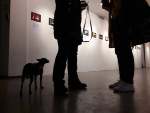 Feierwerk_Blog_Kunst_Immerhin_Vernissage_3