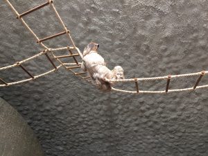 Feierwerk_Blog_Familie_Dschungelpalast_Pfingstferienausflüge_Tierpark_Hellabrunn (10)