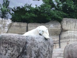 Feierwerk_Blog_Familie_Dschungelpalast_Pfingstferienausflüge_Tierpark_Hellabrunn (13)