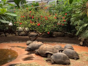 Feierwerk_Blog_Familie_Dschungelpalast_Pfingstferienausflüge_Tierpark_Hellabrunn (6)