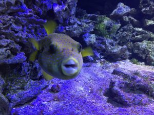 Feierwerk_Blog_Familie_Dschungelpalast_Pfingstferienausflüge_Tierpark_Hellabrunn (8)