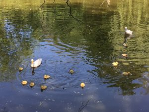 Feierwerk_Blog_Familie_Dschungelpalast_Pfingstferienausflüge_Wildpark_Poing (3)