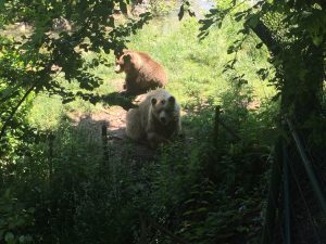 Feierwerk_Blog_Familie_Dschungelpalast_Pfingstferienausflüge_Wildpark_Poing (4)