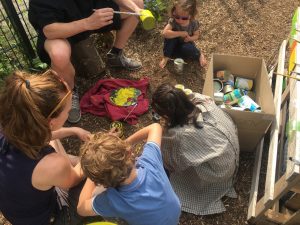 Feierwerk_Blog_Funkstation_Familie_Urban_Gardening_6