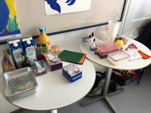 Feierwerk_Dschungelpalast_Forschen_für_Kinder_Andrea_Seidel_Blog (4)