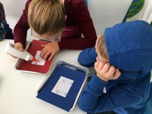 Feierwerk_Dschungelpalast_Forschen_für_Kinder_Andrea_Seidel_Blog (53)