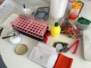 Feierwerk_Dschungelpalast_Forschen_für_Kinder_Andrea_Seidel_Blog (65)