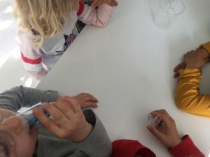 Feierwerk_Dschungelpalast_Forschen_für_Kinder_Andrea_Seidel_Blog (80)