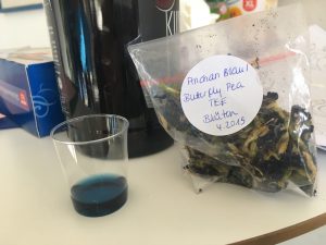 Feierwerk_Dschungelpalast_Forschen_für_Kinder_Andrea_Seidel_Blog (86)