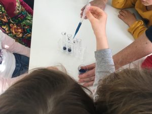 Feierwerk_Dschungelpalast_Forschen_für_Kinder_Andrea_Seidel_Blog (95)